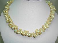 Vintage 50s Beautiful Tiny Real Shell Cluster Bead Necklace 
