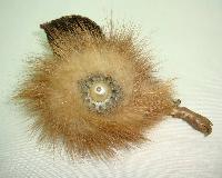 Vintage 40s Fabulous Real Mink Flower Brooch with Pearl Accent 