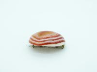 Antique Victorian Beautiful Banded Orange Agate Stone Oval Domed Brooch 